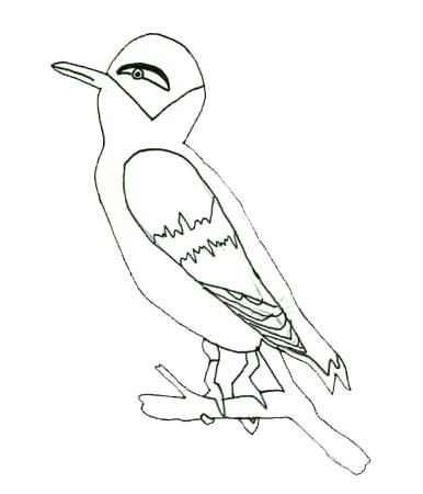 bird branch 1