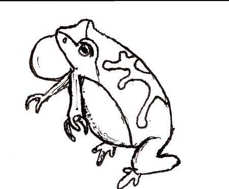 frog2