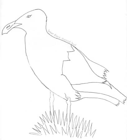 gull 1