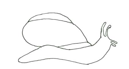 snail 1