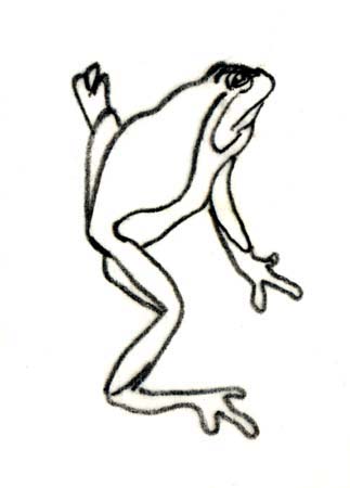 tree frog