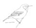 golden warbler
