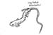 salamander