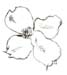 dogwood 2